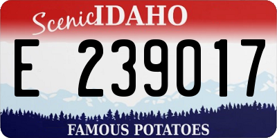 ID license plate E239017
