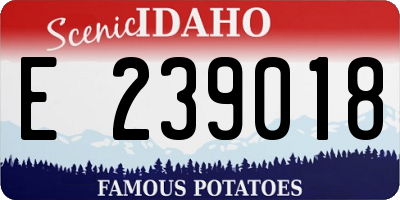 ID license plate E239018