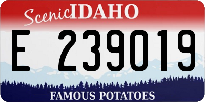 ID license plate E239019