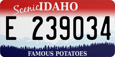 ID license plate E239034