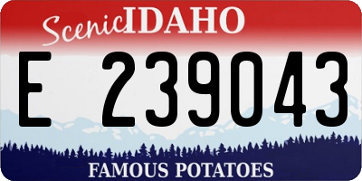 ID license plate E239043