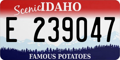 ID license plate E239047