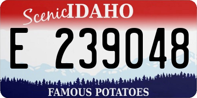 ID license plate E239048