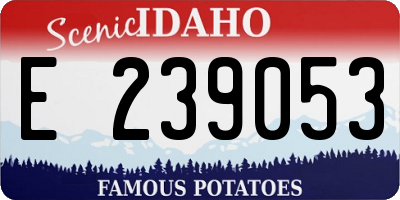 ID license plate E239053