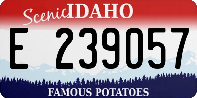 ID license plate E239057