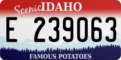ID license plate E239063