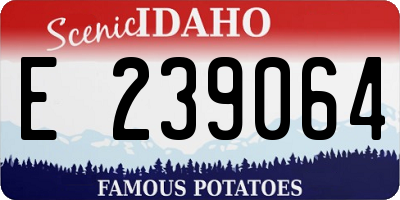 ID license plate E239064