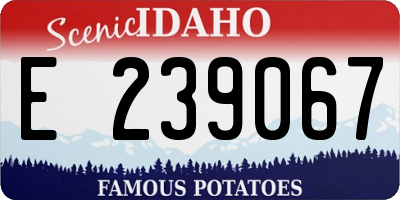 ID license plate E239067