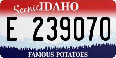 ID license plate E239070