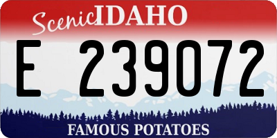 ID license plate E239072