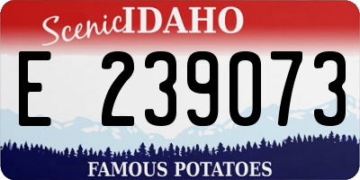 ID license plate E239073