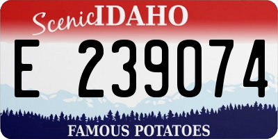 ID license plate E239074