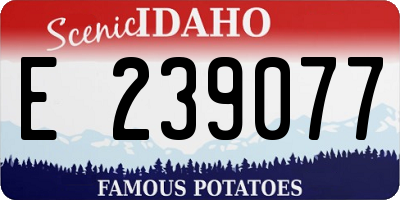 ID license plate E239077
