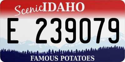 ID license plate E239079