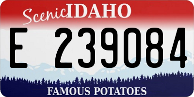ID license plate E239084