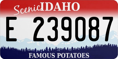 ID license plate E239087