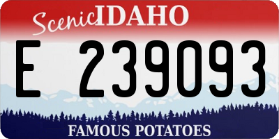 ID license plate E239093