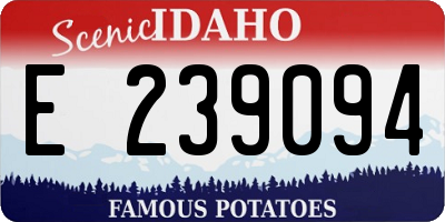 ID license plate E239094