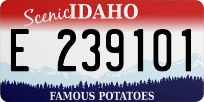 ID license plate E239101