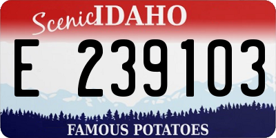 ID license plate E239103