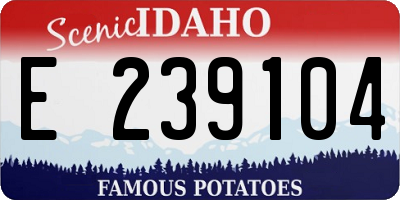 ID license plate E239104