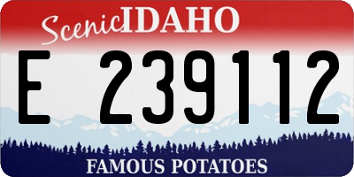 ID license plate E239112