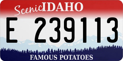 ID license plate E239113