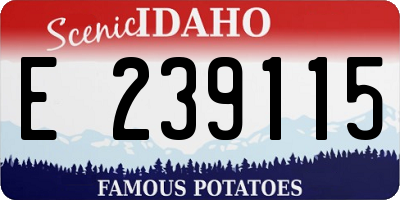 ID license plate E239115