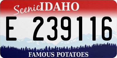 ID license plate E239116