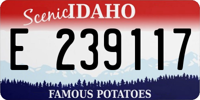 ID license plate E239117