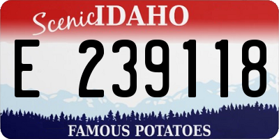 ID license plate E239118