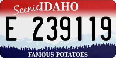 ID license plate E239119