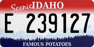ID license plate E239127