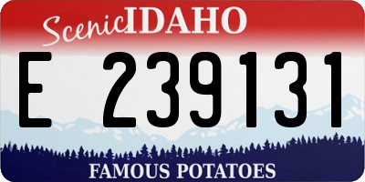 ID license plate E239131