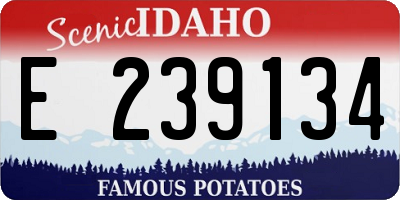 ID license plate E239134