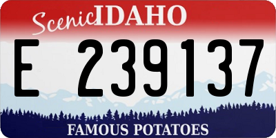 ID license plate E239137