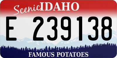 ID license plate E239138