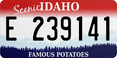 ID license plate E239141