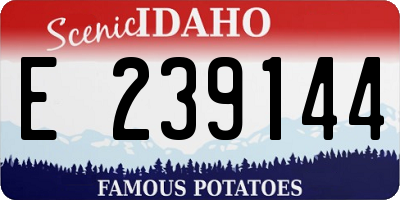 ID license plate E239144