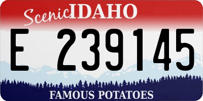 ID license plate E239145