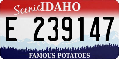 ID license plate E239147