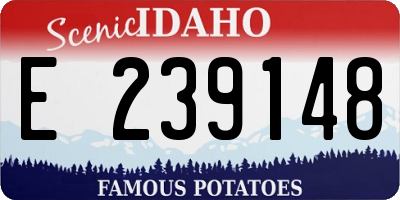 ID license plate E239148