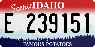 ID license plate E239151