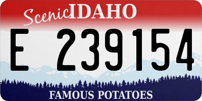 ID license plate E239154