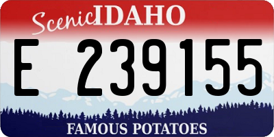 ID license plate E239155