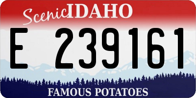 ID license plate E239161