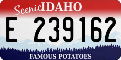 ID license plate E239162