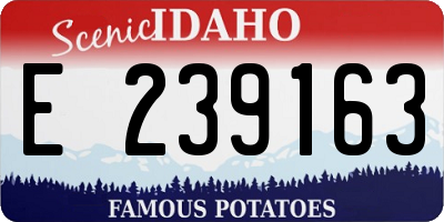 ID license plate E239163