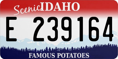 ID license plate E239164