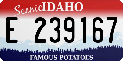 ID license plate E239167